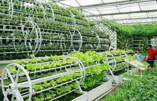 智能化植物工厂与康养农业的融合之路 以生物技术为催化剂